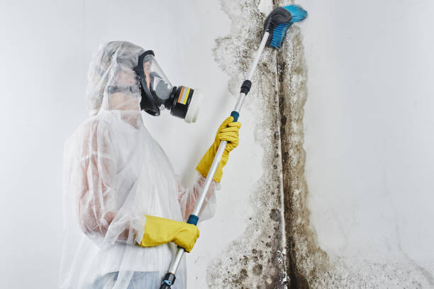 Best Crawl Space Mold Removal  in Brodhead, WI