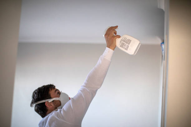 Best Home Mold Removal  in Brodhead, WI