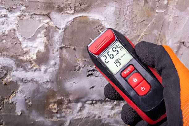 Professional Mold Removal in Brodhead, WI