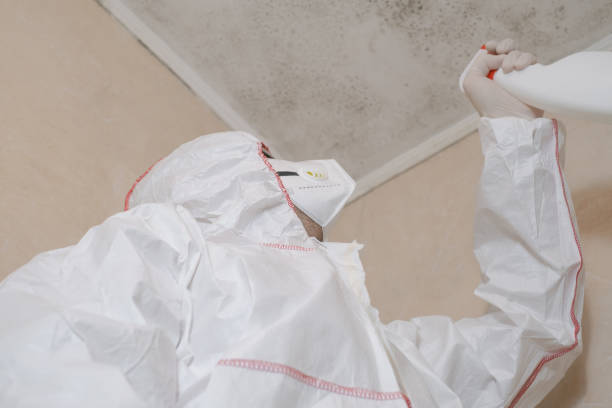 Best Mold Removal and Inspection  in Brodhead, WI