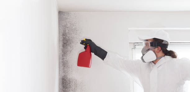 Best Mold Cleaning Services  in Brodhead, WI