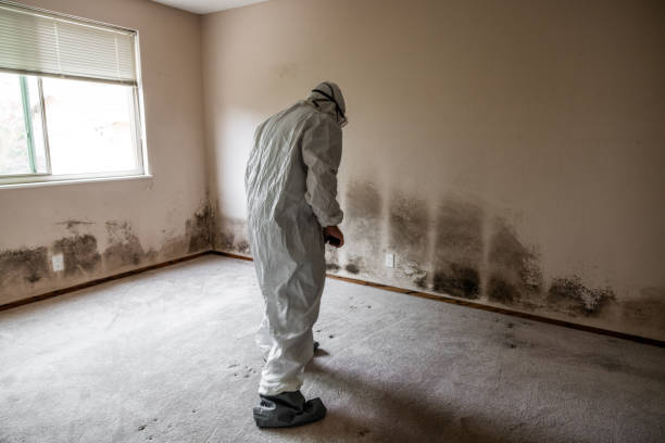 Best Mold Testing  in Brodhead, WI